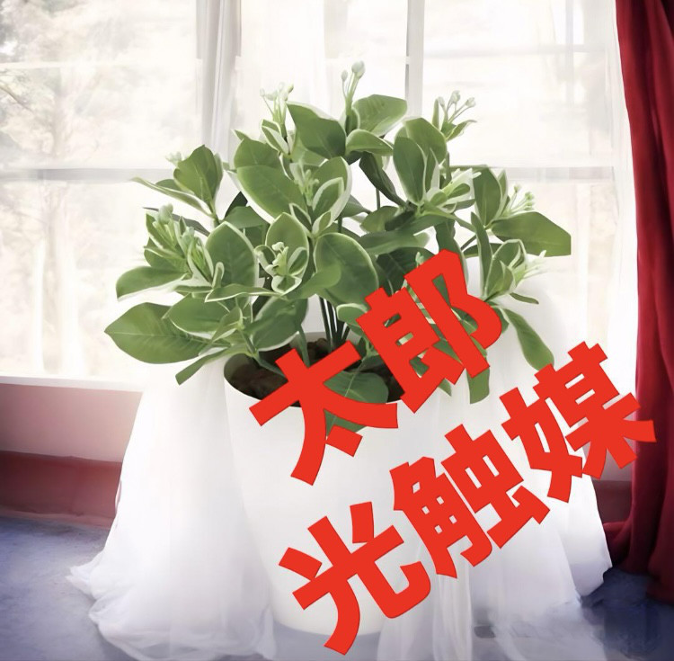 光触媒　人工観葉植物　ウォールグリーン　フェイクグリーン　ピトスポラム