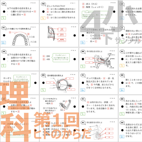 中学受験 暗記カード【4年下 理科全セット 1-18回】 組分け 中学受験 暗記カード【4年下 理科全セット 1-18回】 組分け