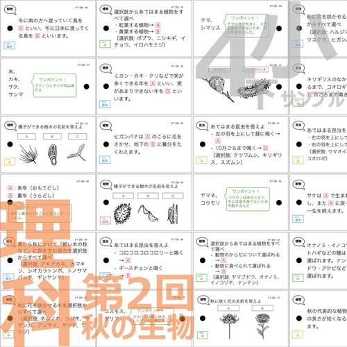 中学受験 暗記カード【4年生向け 理科 生物セット】植物,動物 1f796e1b65faa1ab2045d3f26a4dbc