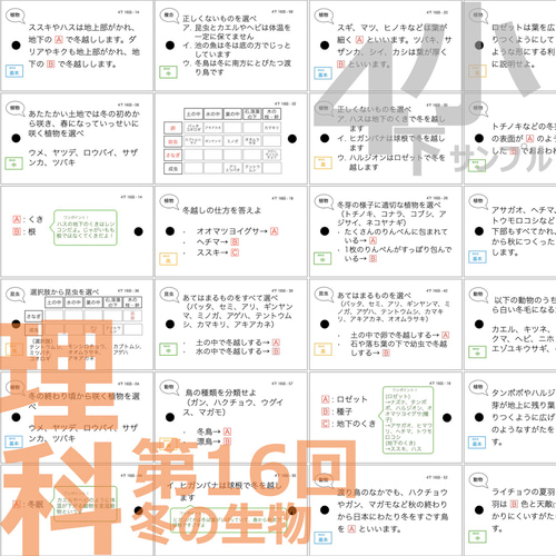 カット済【中学受験】理科の基本事項 知識編 理科 生物セット 暗記カードa カット済【中学受験】理科の基本事項 理科 生物セット 暗記カード 早稲