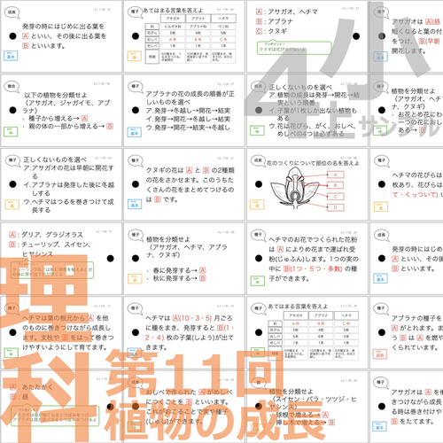 中学受験 暗記カード【4年生向け 理科上下 生物全セット】植物,動物