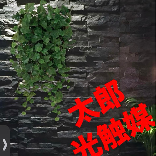 楽天市場】【2点セット】 抗菌 消臭 ハンギング インテリア