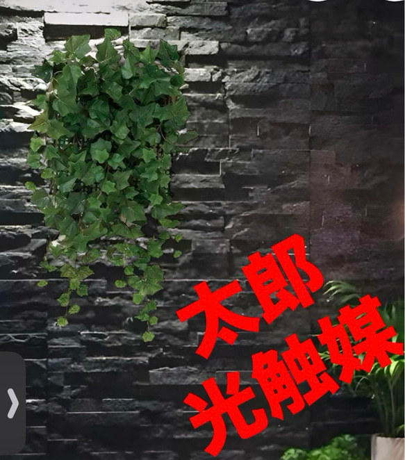 光触媒 人工観葉植物 ウォールグリーン フェイクグリーン 壁面 光触媒 人工観葉植物 ウォールグリーン フェイクグリーン 壁面