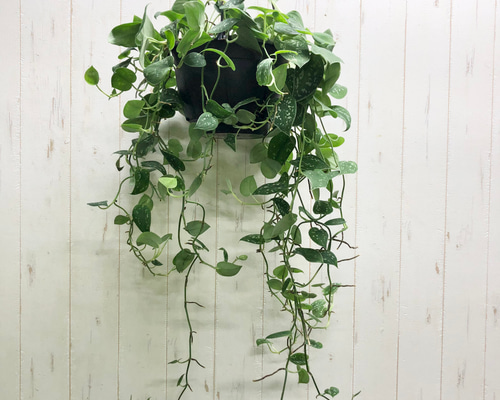 (専用商品)スキンダプサス　シルバーメタリック バクダパティ　A1 専用商品)スキンダプサス シルバーメタリック バクダパティ A1