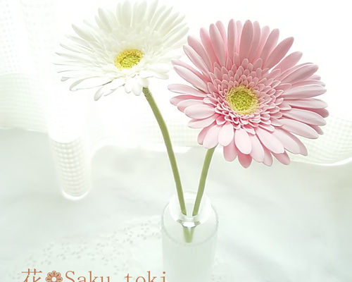 bdd9a503fc6374efbf2a1889d4bfec