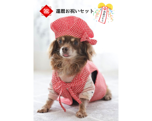 1JU0 紫色のちゃんちゃんこと帽子 5セット ハンドメイド 1JU0 紫色の