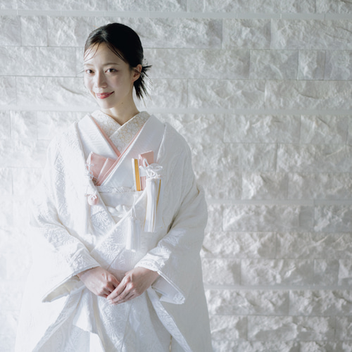 花嫁和装 はこせこ かいけん 差込伊達衿 刺繍半衿 4点セット くすみ系  