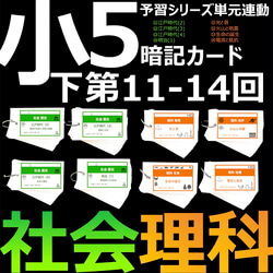 中学受験 暗記カード【4年生向け 理科 上 生物セット】 組分けテスト