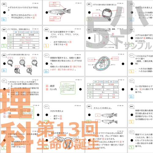 四谷大塚 中学受験 暗記カード 5年下 社会理科11-18回 予習
