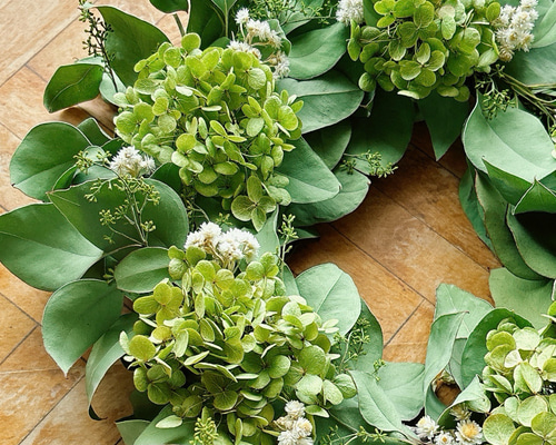 ポポラスベリーのリース ポポラスベリー ユーカリ アナベル 紫陽花