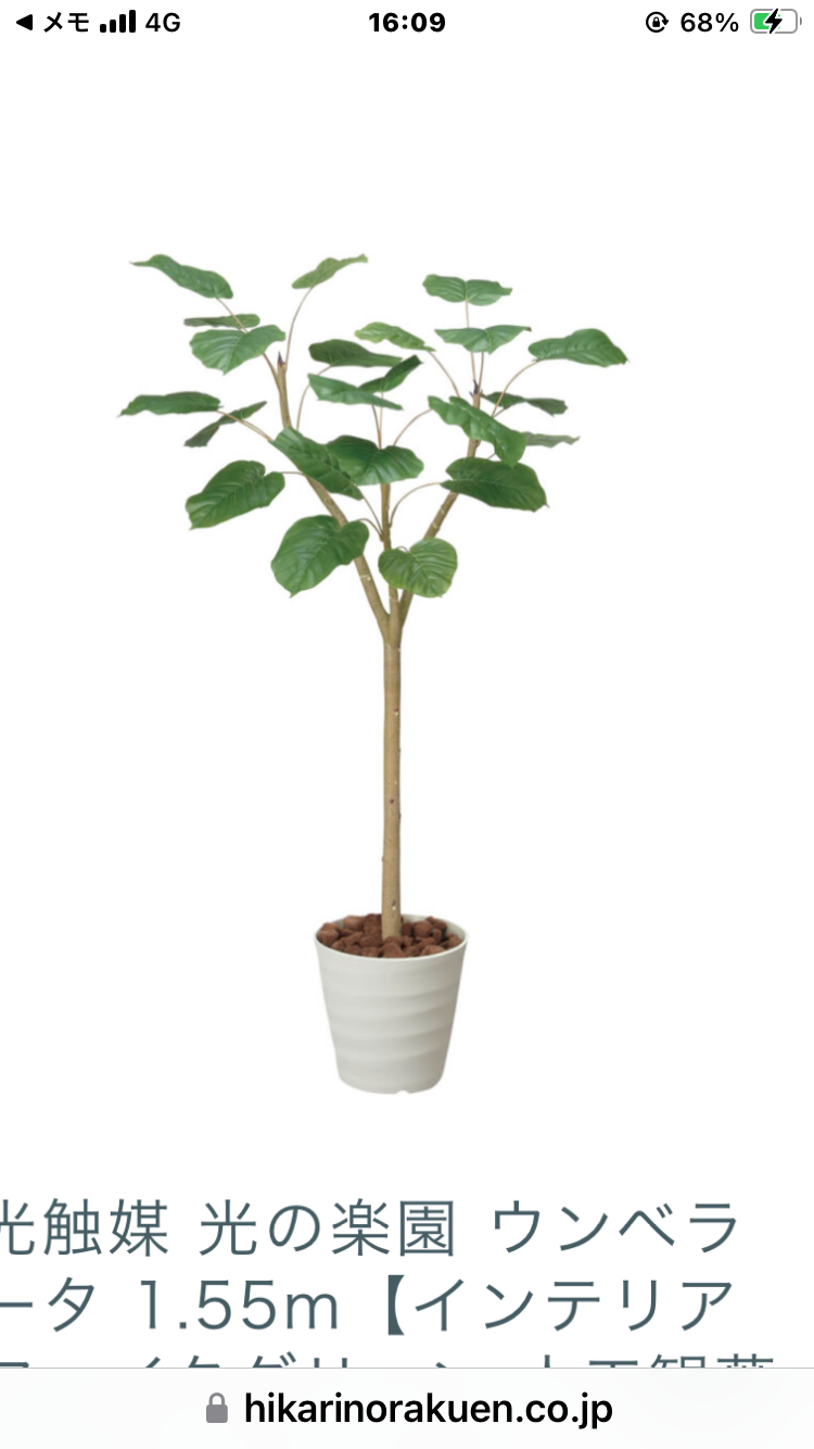 光触媒　人工観葉植物　ウォールグリーン　フェイクグリーン　ウンベラータ18075 光触媒 人工観葉植物 ウォールグリーン フェイクグリーン