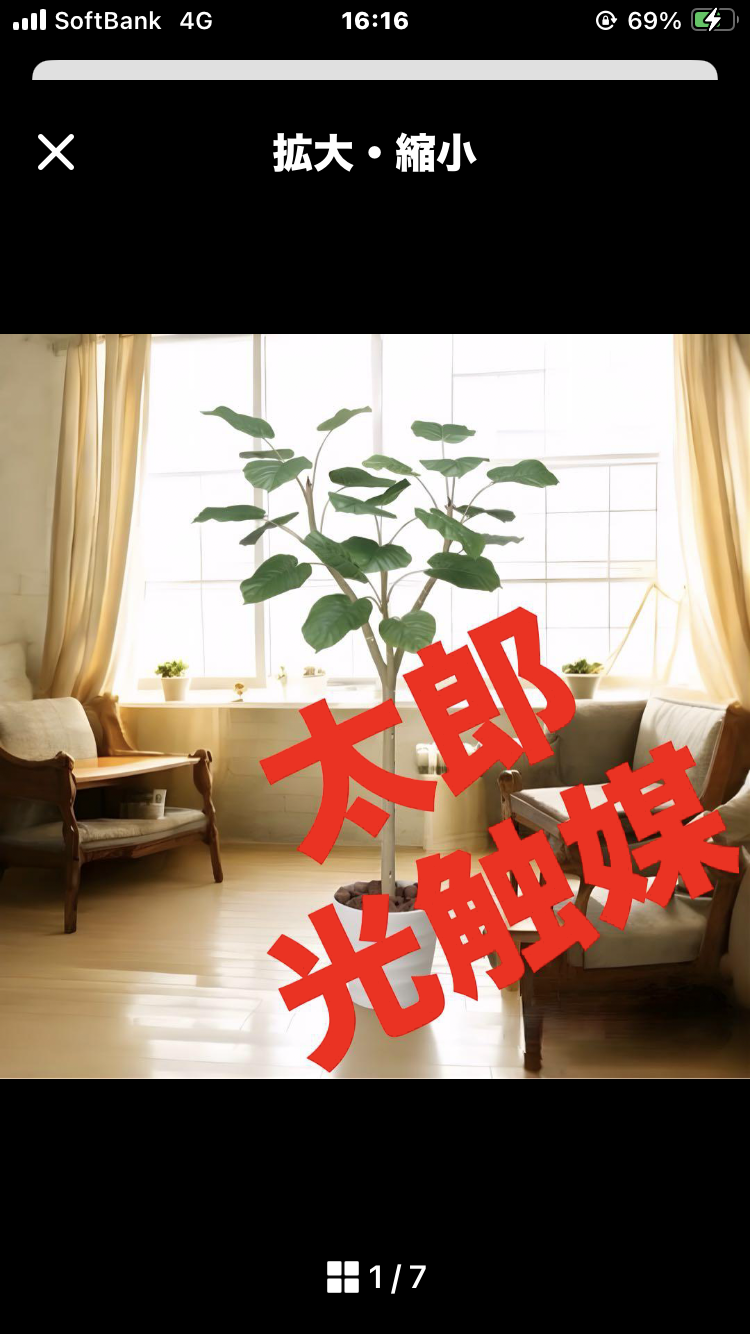 光触媒　人工観葉植物　ウォールグリーン　フェイクグリーン　ウンベラータ1.55