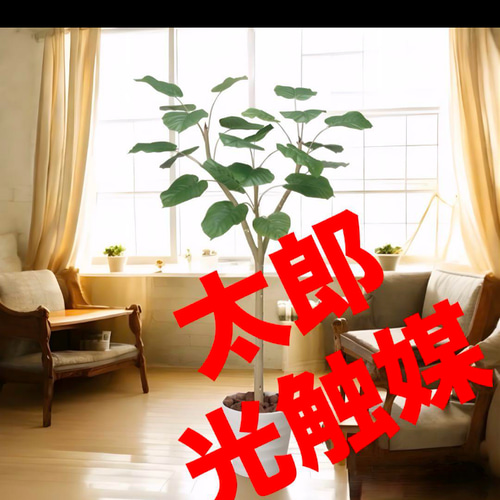 光触媒 人工観葉植物 ウォールグリーン フェイクグリーン ウンベラータ