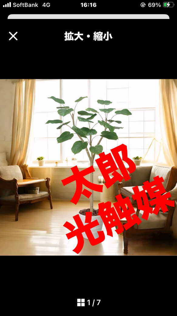 光触媒 人工観葉植物 ウォールグリーン フェイクグリーン ウンベラータ