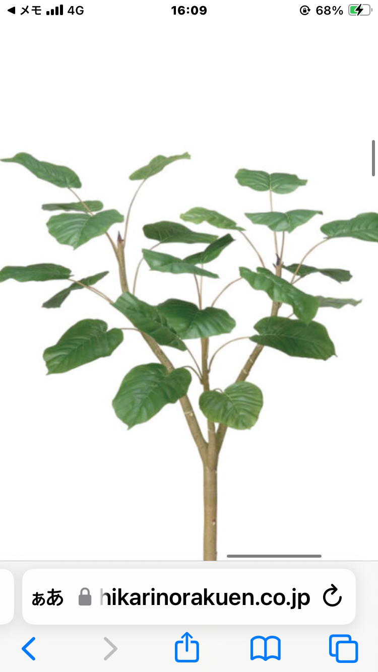 光触媒　人工観葉植物　ウォールグリーン　フェイクグリーン　ウンベラータ1.55