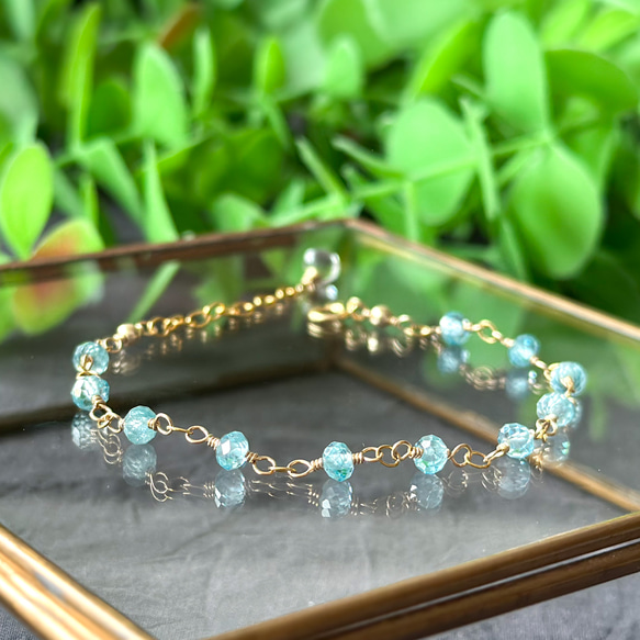 パールアカシア フレッシュミモザ パールアカシア フレッシュ