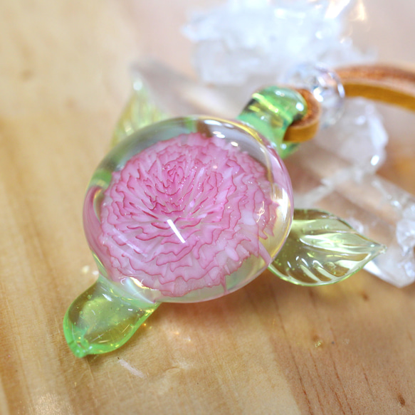 Rosa do amor（愛のバラ） 4枚目の画像