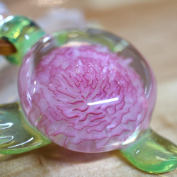 Rosa do amor（愛のバラ） 1枚目の画像