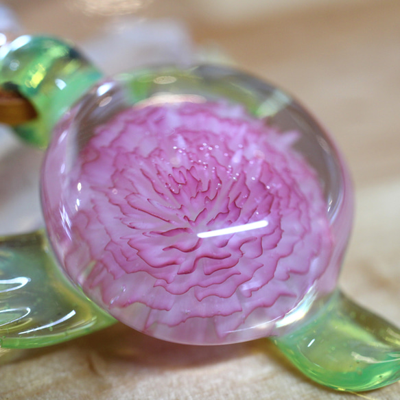 Rosa do amor（愛のバラ） 1枚目の画像