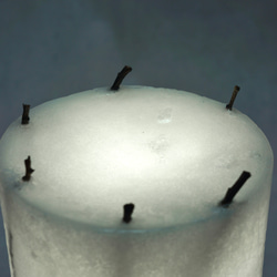 WAXランプ N°9 枝入りランプ (卓上タイプ) 9枚目の画像