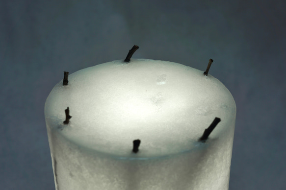 WAXランプ N°9 枝入りランプ (卓上タイプ) 9枚目の画像