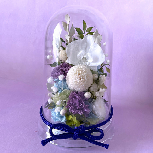 プリザーブドフラワー 胡蝶蘭 ドーム お供え お悔やみ 仏壇 仏花 お盆