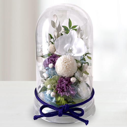 プリザーブドフラワー 胡蝶蘭 ドーム お供え お悔やみ 仏壇 仏花 お盆