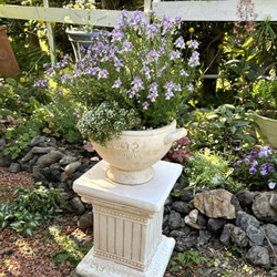 66c5682fef939b773e42ba8927d4ce