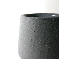 ●数量限定●新作●　希少　砂漠のバラ　”アデニウム・アラビカム　 鉢/受け皿セット”　観葉植物　塊根植物　インテリア 13枚目の画像