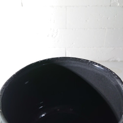 ●数量限定●新作●　希少　砂漠のバラ　”アデニウム・アラビカム　 鉢/受け皿セット”　観葉植物　塊根植物　インテリア 15枚目の画像