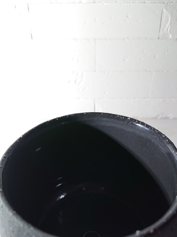 ●数量限定●新作●　希少　砂漠のバラ　”アデニウム・アラビカム　 鉢/受け皿セット”　観葉植物　塊根植物　インテリア 15枚目の画像