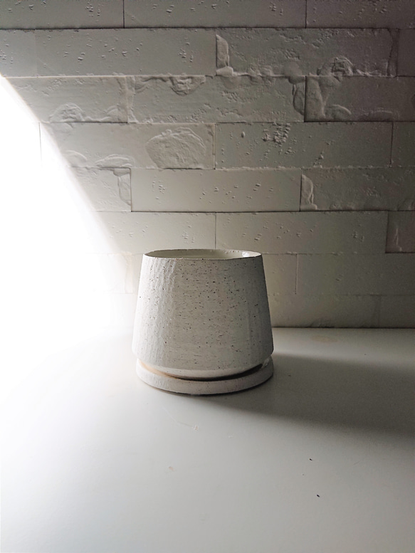 ●数量限定●新作●　希少　砂漠のバラ　”アデニウム・アラビカム　 鉢/受け皿セット”　観葉植物　塊根植物　インテリア 8枚目の画像