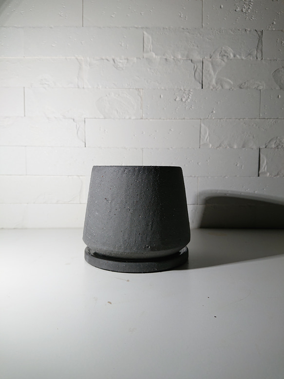 ●数量限定●新作●　希少　砂漠のバラ　”アデニウム・アラビカム　 鉢/受け皿セット”　観葉植物　塊根植物　インテリア 12枚目の画像