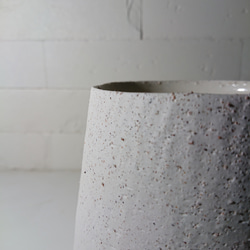 ●数量限定●新作●　希少　砂漠のバラ　”アデニウム・アラビカム　 鉢/受け皿セット”　観葉植物　塊根植物　インテリア 9枚目の画像