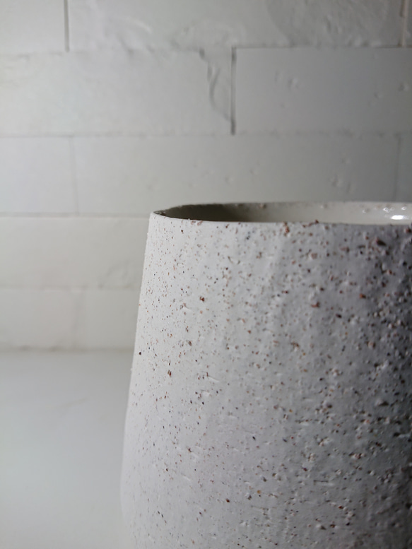 ●数量限定●新作●　希少　砂漠のバラ　”アデニウム・アラビカム　 鉢/受け皿セット”　観葉植物　塊根植物　インテリア 9枚目の画像