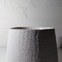 ●数量限定●新作●　希少　砂漠のバラ　”アデニウム・アラビカム　 鉢/受け皿セット”　観葉植物　塊根植物　インテリア 10枚目の画像