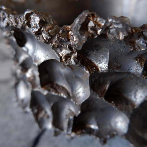 5.5号燻し金彩平鉢427 塊根植物 多肉植物 盆栽 植木鉢 作家鉢 沖縄