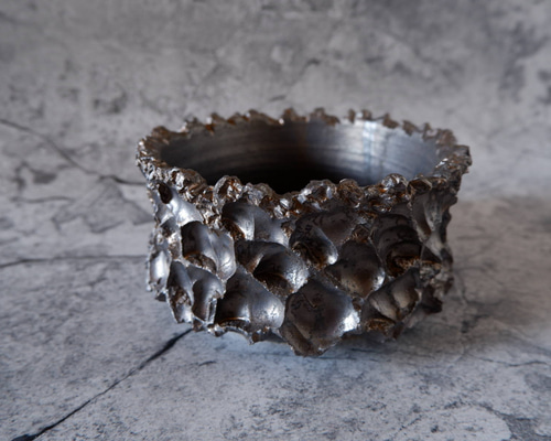 5.5号燻し金彩平鉢427 塊根植物 多肉植物 盆栽 植木鉢 作家鉢 沖縄