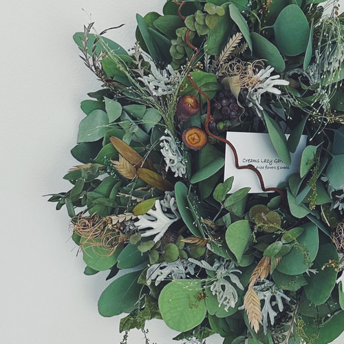Botanical wreath 6 popolus ユーカリポポラスリース リース Creams