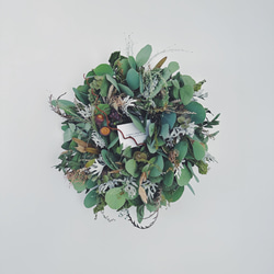 Botanical wreath 6 popolus ユーカリポポラスリース リース Creams