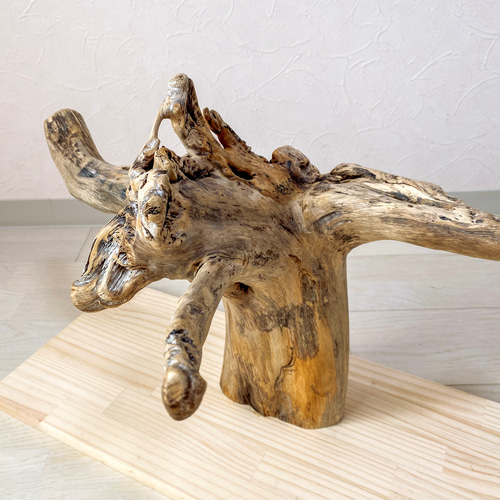 流木の止まり木】希少 ブランチウッドの存在感ある枝ぶり 中型インコ