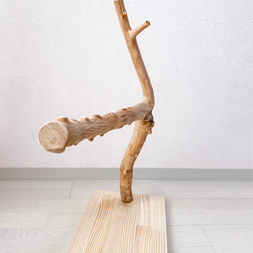 流木の止まり木】高さ約60cm！鳥 インコ 独特な大きな節が特徴的で