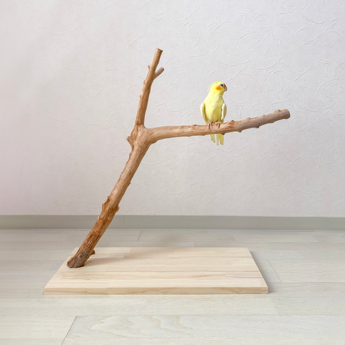 鳥 木製スタンド付き 約60cm