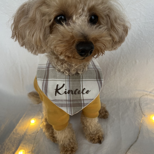 おめかしスタイ〜小型犬・犬用〜【刺繍ネーム入り】 おもちゃ・ペット