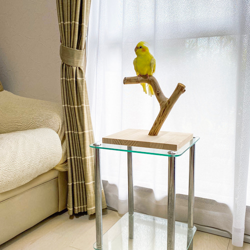流木の止まり木】鳥 インコ 手軽で使いやすい！ コンパクトな卓上