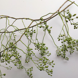 《送料込み》野バラの実・青実(枝) 1枚目の画像