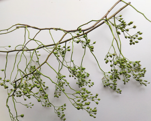 3a447c927dd257dc16b3d292f911f9