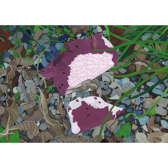 「枯れた花びら」植物イラスト（原画） イラスト「枯れた花びら」原画 イラスト 安部円子 通販 17999791