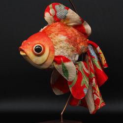 金魚 アクリル樹脂×天然木インテリア 金魚アート 祭 こだわりの純日本