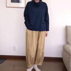  第4張的照片